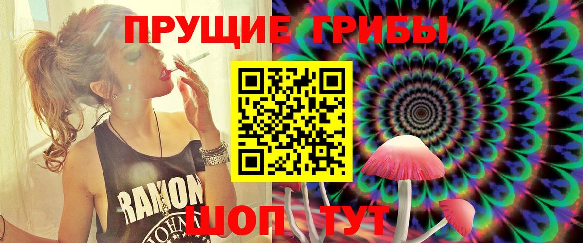 Семёнов  Галлюциногенные грибы ЛСД  Вход с VPN 