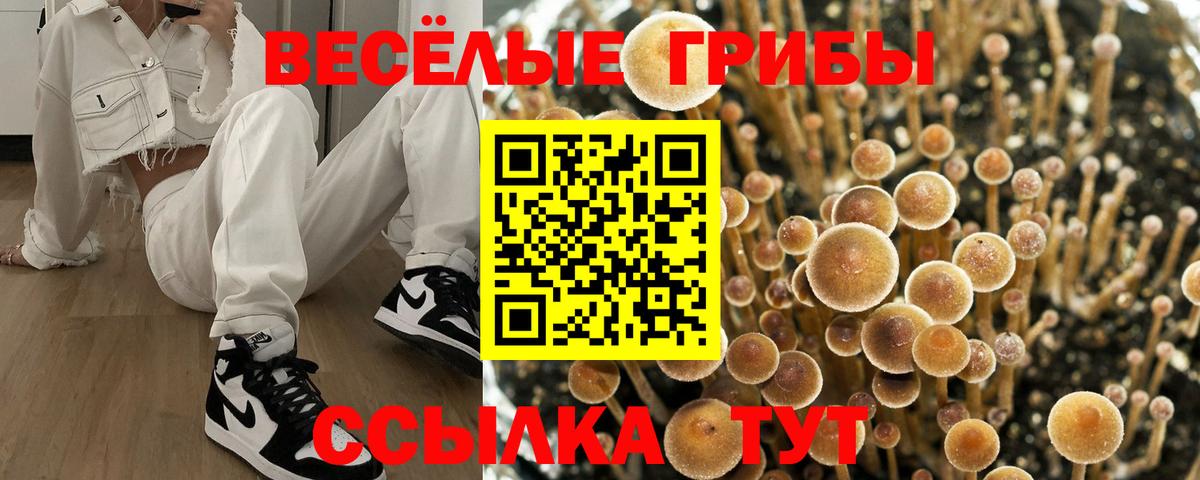 Псилоцибиновые грибы Psilocybe Семёнов